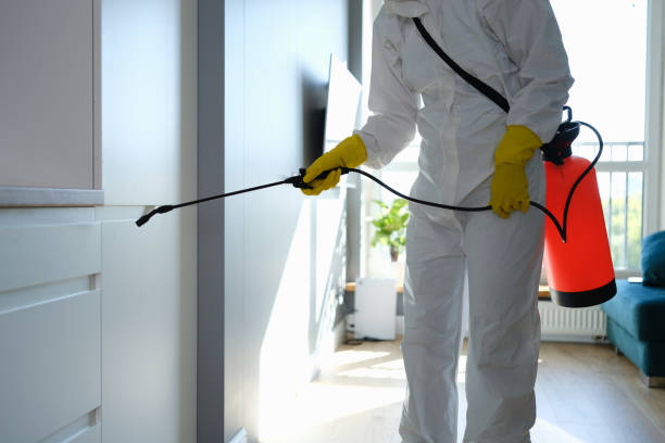 Water Damage Restoration in Acton, CA