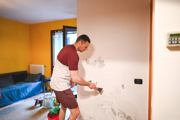 Trusted Acton, CA Mold Removal Experts